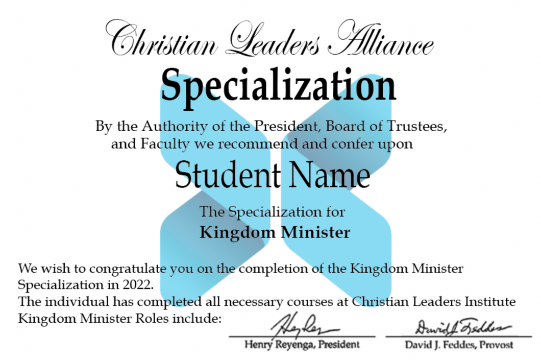 Kingdom Minister Specialization